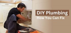 DIY Plumbing: What You Can Fix